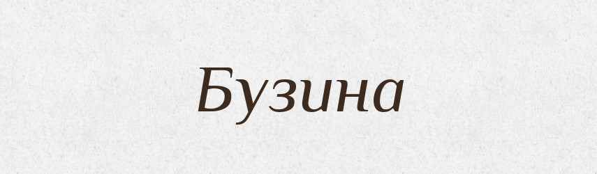 Бузина — Російсько-український академічний словник (А–П)