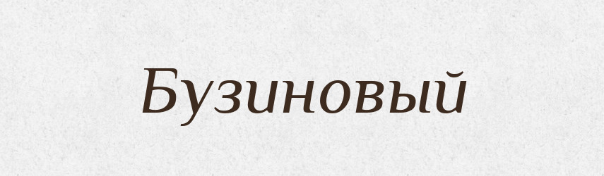 Бузиновый — Російсько-український академічний словник (А–П)