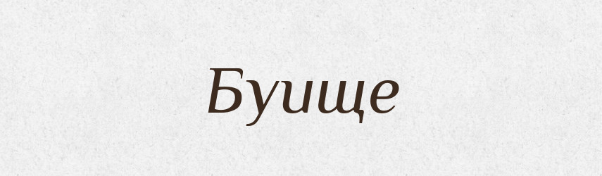 Буище — Російсько-український академічний словник (А–П)