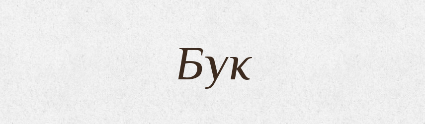 Бук — Російсько-український академічний словник (А–П)