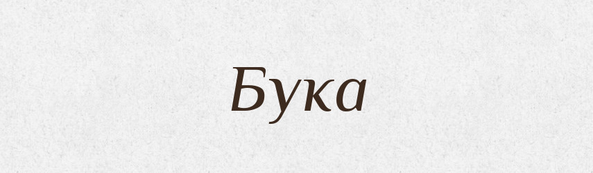 Бука — Російсько-український академічний словник (А–П)