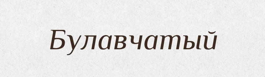 Булавчатый — Російсько-український академічний словник (А–П)