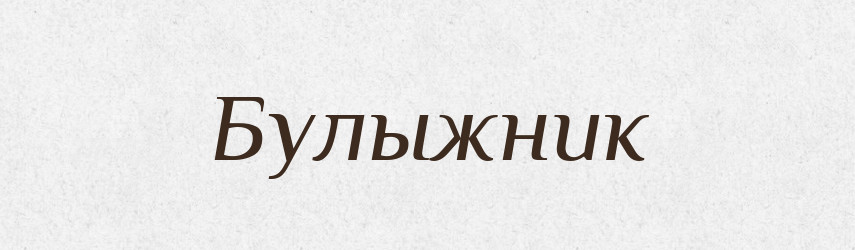Булыжник — Російсько-український академічний словник (А–П)