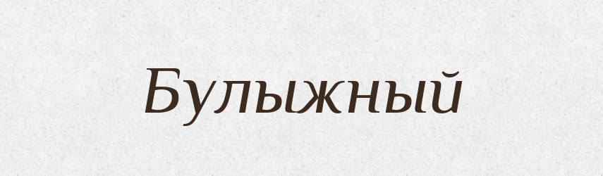 Булыжный — Російсько-український академічний словник (А–П)