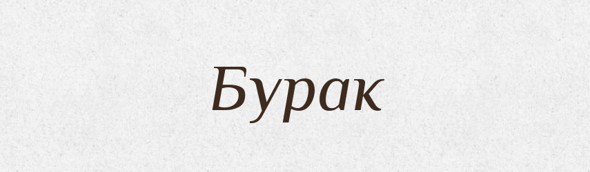 Бурак — Російсько-український академічний словник (А–П)
