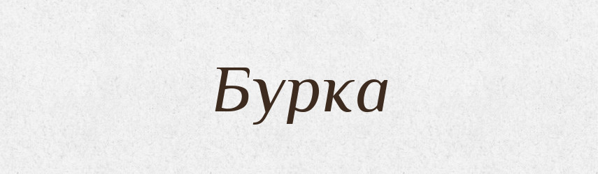 Бурка — Російсько-український академічний словник (А–П)