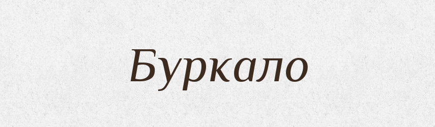 Буркало — Російсько-український академічний словник (А–П)