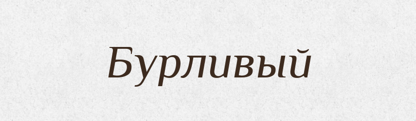 Бурливый — Російсько-український академічний словник (А–П)