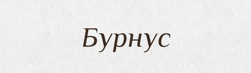 Бурнус — Російсько-український академічний словник (А–П)