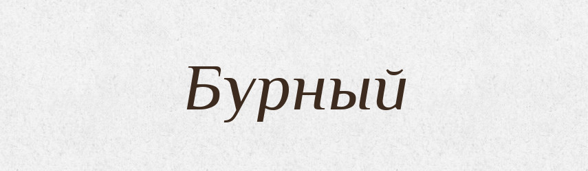Бурный — Російсько-український академічний словник (А–П)