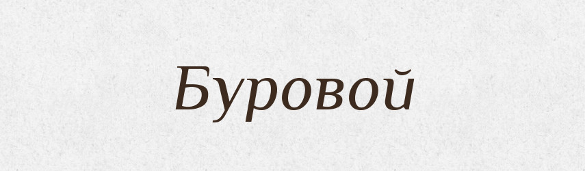 Буровой — Російсько-український академічний словник (А–П)