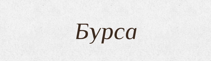 Бурса — Російсько-український академічний словник (А–П)