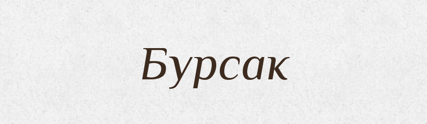 Бурсак — Російсько-український академічний словник (А–П)