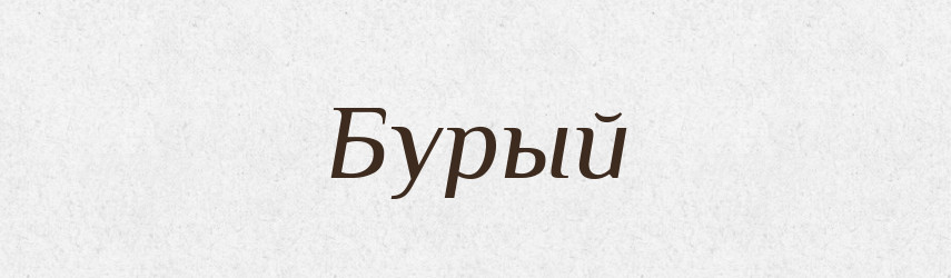 Бурый — Російсько-український академічний словник (А–П)