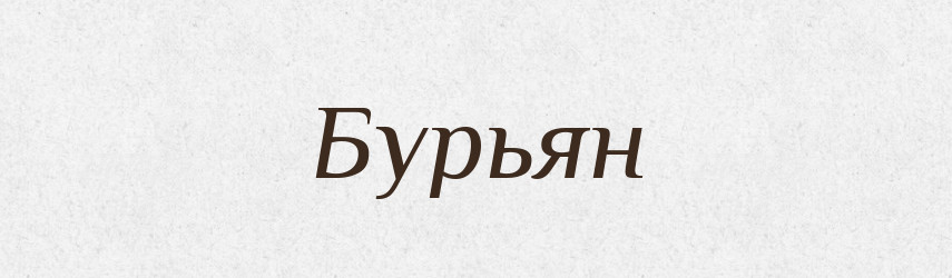 Бурьян — Російсько-український академічний словник (А–П)