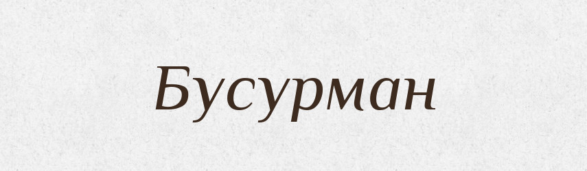 Бусурман — Російсько-український академічний словник (А–П)