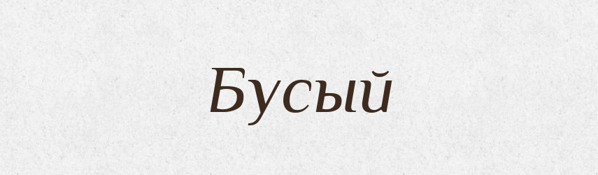 Бусый — Російсько-український академічний словник (А–П)