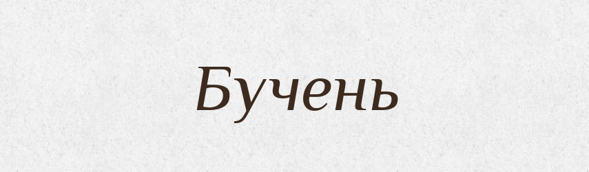 Бучень — Російсько-український академічний словник (А–П)