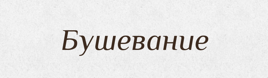 Бушевание — Російсько-український академічний словник (А–П)