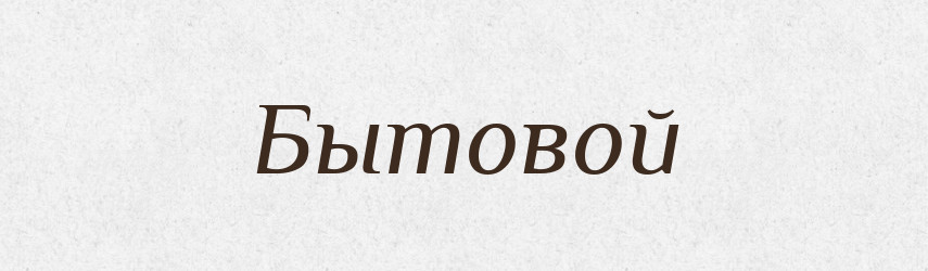 Бытовой — Російсько-український академічний словник (А–П)