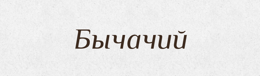 Бычачий — Російсько-український академічний словник (А–П)