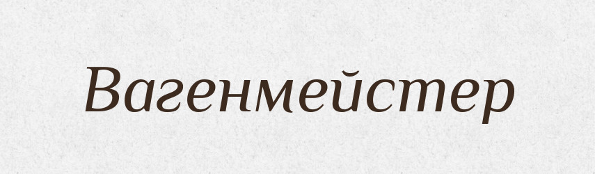 Вагенмейстер — Російсько-український академічний словник (А–П)