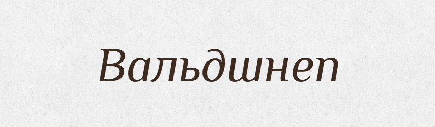 Вальдшнеп — Російсько-український академічний словник (А–П)