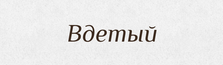 Вдетый — Російсько-український академічний словник (А–П)