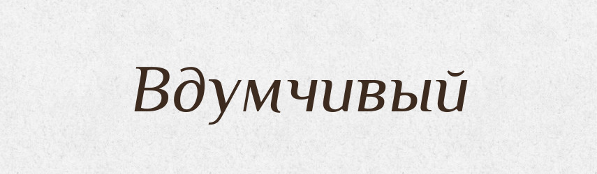 Вдумчивый — Російсько-український академічний словник (А–П)