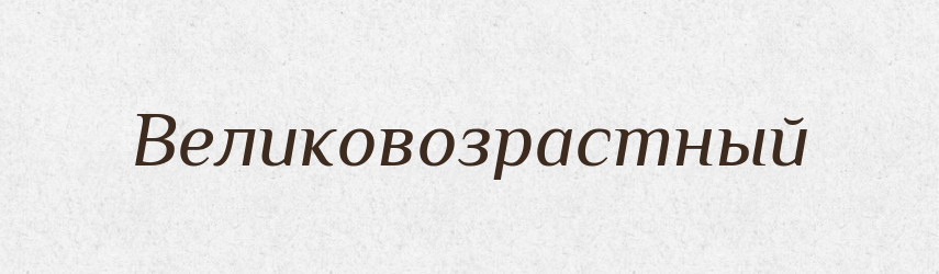 Великовозрастный — Російсько-український академічний словник (А–П)