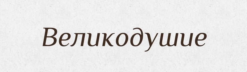 Великодушие — Російсько-український академічний словник (А–П)
