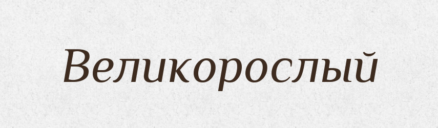Великорослый — Російсько-український академічний словник (А–П)