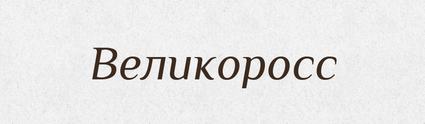 Великоросс — Російсько-український академічний словник (А–П)