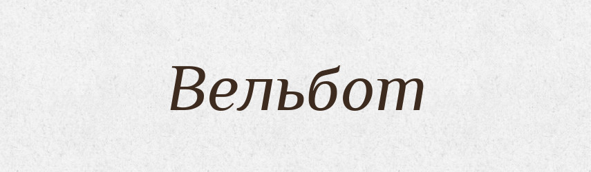 Вельбот — Російсько-український академічний словник (А–П)