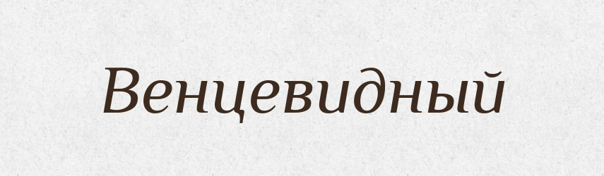 Венцевидный — Російсько-український академічний словник (А–П)