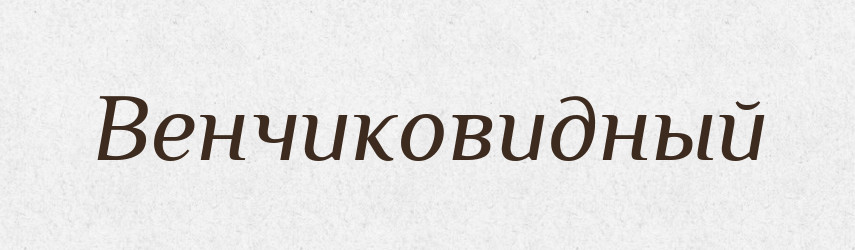 Венчиковидный — Російсько-український академічний словник (А–П)