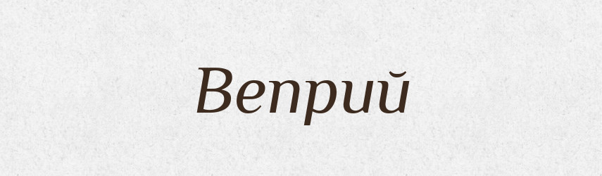 Веприй — Російсько-український академічний словник (А–П)