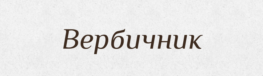 Вербичник — Російсько-український академічний словник (А–П)