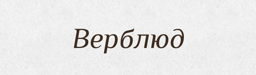 Верблюд — Російсько-український академічний словник (А–П)