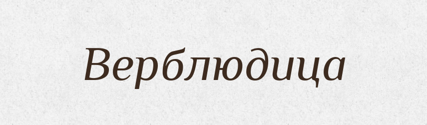 Верблюдица — Російсько-український академічний словник (А–П)