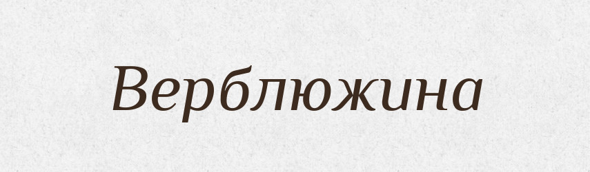 Верблюжина — Російсько-український академічний словник (А–П)