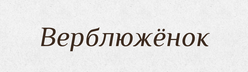Верблюжёнок — Російсько-український академічний словник (А–П)