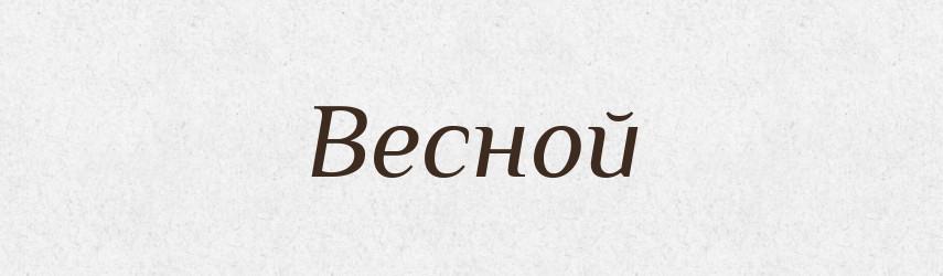 Весной — Російсько-український академічний словник (А–П)