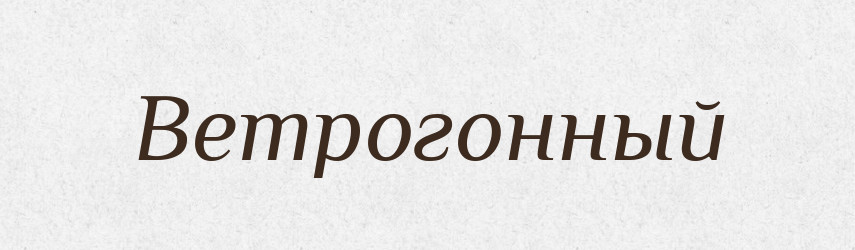 Ветрогонный — Російсько-український академічний словник (А–П)