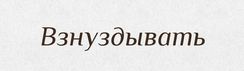 Взнуздывать — Російсько-український академічний словник (А–П)