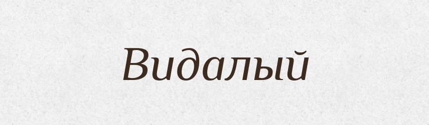 Видалый — Російсько-український академічний словник (А–П)