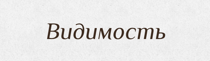 Видимость — Російсько-український академічний словник (А–П)