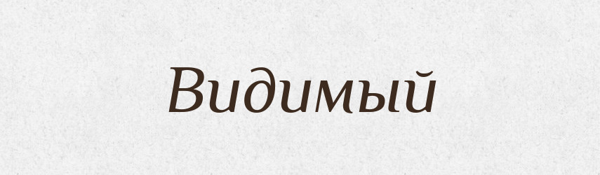 Видимый — Російсько-український академічний словник (А–П)