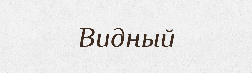 Видный — Російсько-український академічний словник (А–П)