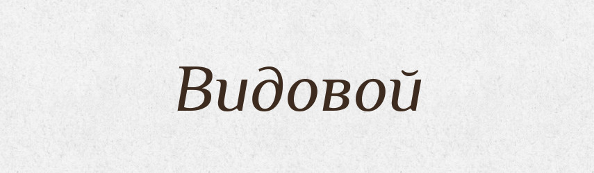 Видовой — Російсько-український академічний словник (А–П)